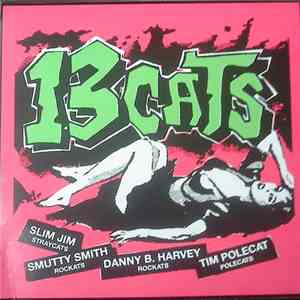 13 Cats - 13 Tracks download mp3 flac