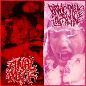 Anal Milk / Pornographic Love Machine - Anal Milk / Pornographic Love Machine download mp3 flac