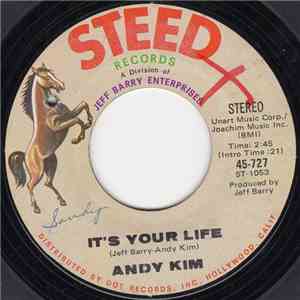 Andy Kim - It's Your Life / To Be Continued download mp3 flac