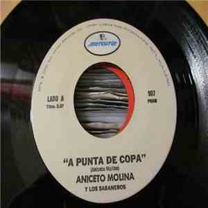 Aniceto Molina Y Los Sabaneros - A Punta De Copa / Mi Cumbia Colombiana download free