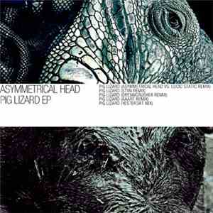 Asymmetrical Head - Pig Lizard EP download mp3 flac