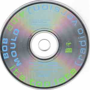 Bob Mould - It's Too Late download mp3 flac