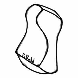 Buddy ◯ - Squashy Bull Yaya download mp3 flac