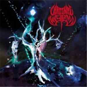 Cardinal Wyrm - Black Hole Gods download mp3 flac