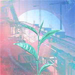 Cinctulan - Subbal Tea Works download mp3 flac