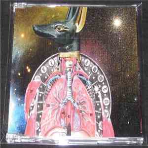 Deciduous Flux - Year 1 download mp3 flac