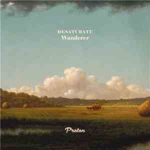 Desaturate - Wanderer download mp3 flac
