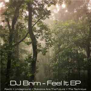 DJ Brim - Feel It EP download free
