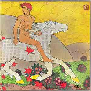 Fleetwood Mac - Then Play On download mp3 flac