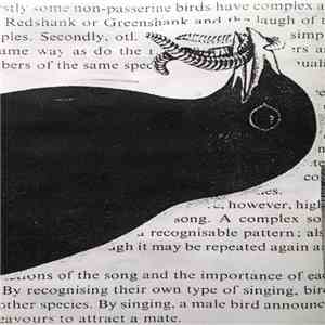 Fossils / Thoughts On Air - Terror Tapes Volume 12 download mp3 flac