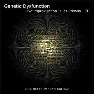 Genetic Dysfunction - Live improvisation @ les Prisons - Moudon - CH - 2014.10.11 - Part02 download mp3 flac