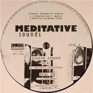 Gideon Zinger / Lion - Seal / Bun Them Out download mp3 flac