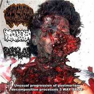 Hypoprothrombinemia / Dissolved / Hydrocephalus - Unusual Progression Of Postmortem Decomposition Process 3 Way Split download free Hypoprothrombinemia / Dissolved / Hydrocephalus - Unusual Progression Of Postmortem Decomposition Process 3 Way Split download mp3 flac
