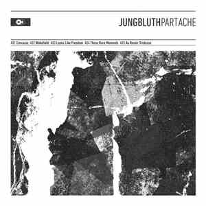 Jungbluth - Part Ache download mp3 flac