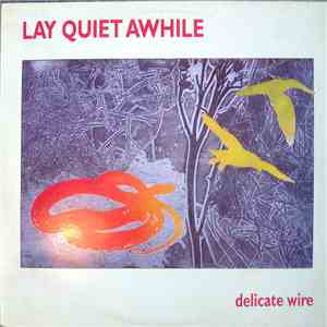 Lay Quiet Awhile - Delicate Wire download mp3 flac