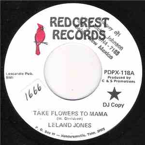 Leland Jones  - Take Flowers To Mama / You Can't Reach Me Anymore download mp3 flac