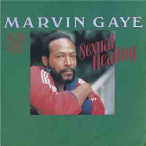 Marvin Gaye - Sexual Healing download mp3 flac