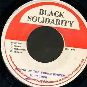 Michael Palmer - String Up The Sound System download mp3 flac