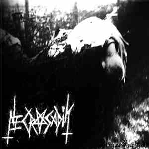 Necrosadik - Destroying Your Life download mp3 flac