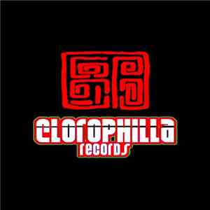 Nino Pipito & Helen Brown - The Brian's Element download mp3 flac