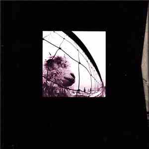 Pearl Jam - Vs. / Vitalogy download mp3 flac