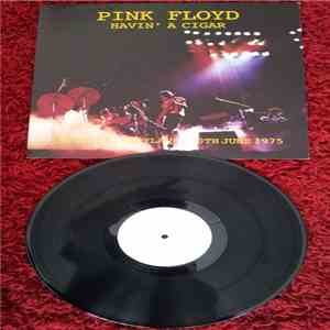 Pink Floyd - Havin' A Cigar download mp3 flac