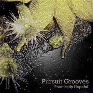 Pursuit Grooves - Frantically Hopeful download mp3 flac