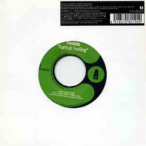 Pushim - Lyrical Feeling download mp3 flac