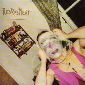 Red Red Meat - Idiot Son download mp3 flac