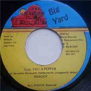 Shaggy - Gal You A Pepper download mp3 flac