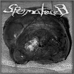Spermatocele - Spermatocele download mp3 flac