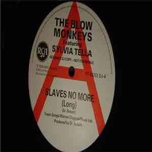 The Blow Monkeys Featuring Sylvia Tella - Slaves No More download mp3 flac