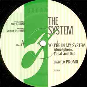 The System - You're In My System download mp3 flac