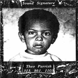 Theo Parrish - Body download mp3 flac