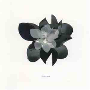 Titania - Titania download free
