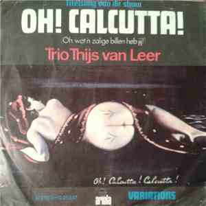 Trio Thijs Van Leer - Oh! Calcutta download mp3 flac