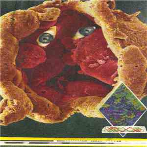 Various - Brains On Backwash III: Backwash To The Future! download mp3 flac