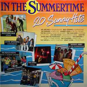 Various - In The Summertime (20 Sunny Hits) download mp3 flac
