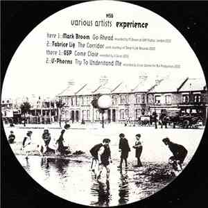 Various - Native Sampler Six : Experience download free