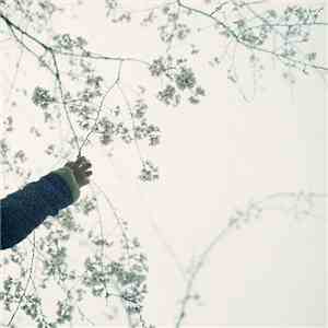 Wil Bolton - Bokeh download mp3 flac
